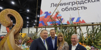 Увеличить - ЛОТПП