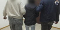 Жительница Ростова попала под следствие за нож в спину - Панорама