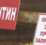 В подмосковных Луховицах ввели карантин по бешенству - M24.Ru