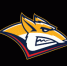 metallurg_mg_2020_200x200.png - ХК Металлург