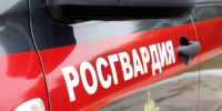 Сотрудники вневедомственной охраны Росгвардии задержали мурманчанина, находившегося в розыске, по подозрению в совершении преступления - Murman.Ru