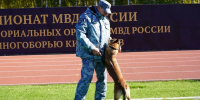 Кинологи из Мордовии вошли в топ-10 на чемпионате России по многоборью - Info-Rm.Com