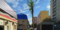 Дерево в ростовском дворе который месяц после урагана стоит в кроне из проводов - DonDay.Ru