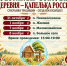 Фестиваль-эстафета «Деревня — капелька России» - Дворец культуры