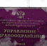 Клычков обязал орловский депздрав разговаривать с людьми - OrelTimes.Ru