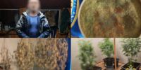 photo-output - ЗА Новомосковск