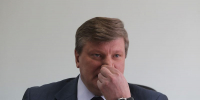 Фирму Владимира Руженкова накажут за пчел! - Столица С