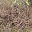 d548ee61-7093-405f-a0ed-7d21fad62474.jpg - GorodnaBire.Ru