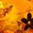 You are viewing the image with filename 01.jpg - Уссурийская газета Коммунар