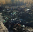 Золотодобытчиков в Могочинском округе заподозрили в загрязнении реки Трошиха - ZAB.RU