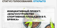 На платформе «Активный гражданин» проходит голосование в поддержку инициативного проекта «Благоустройство спортивной площадки в п. Брянка». - Северо-Енисейский муниципальный округ
