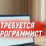 Требуется программист - Купинский район
