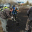 Итоги сентябрьского озеленения подвели в КЗХ Магадана - Мэрия города Магадана