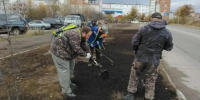 Итоги сентябрьского озеленения подвели в КЗХ Магадана - Мэрия города Магадана