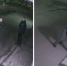 Что сейчас с ярославским живодером, убившим кошку своей соседки — подробности | Источник: камера уличного видеонаблюдения ПВЗ «Озон» - 76.Ru
