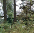 Картинка - Regions.Ru