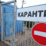Карантин по бешенству ввели на острове Сарпинском в Волгограде - Родной город Волгоград