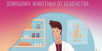 Бесплатная вакцинация собак и кошек против бешенства в Вяземском районе: график выездных пунктов на 12–13 октября 2026 года - Вяземский район