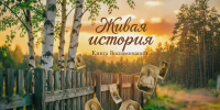 Жителей Сосновоборского округа приглашают создать книгу воспоминаний родного края - Газета Пригород