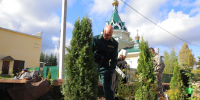В Вологодской области в рамках акции «Сохраним лес» высажено 200 тысяч деревьев - Красный север