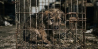 Калуга-поиск, сгенерировано ИИ - Kaluga-Poisk.Ru