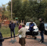 Итоги обхода от 8 октября - Район Южное Медведково