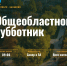 Балаково и район присоединятся к общеобластному субботнику 10 октября - GazetaBalakovo.Ru