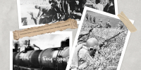 9 октября 1943 года завершилась Битва за Кавказ и Краснодарский край был полностью освобождён от немецких захватчиков - Департамент ветеринарии
