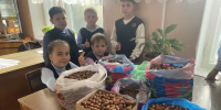 Мценские школьники внесли свой вклад в восстановление леса - Газета Мценский край