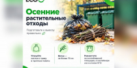 В ЕСОО напомнили, как выбрасывать осенние листья и ветки - NewKaliningrad.Ru