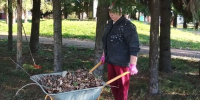 Сотрудники СДК Среднего Девятова вышли на осенний субботник - Камская новь
