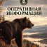 Оперативная информация - Служба по охране и использованию объектов животного мира