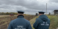В Тульской области за 10 лет не обнаружили ни одного лесного пожара - ИА Тульская пресса.Ru