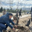 В Улан–Удэ жители 140б квартала и депутат горсовета активно занимаются озеленением - ИА Байкал Медиа Консалтинг