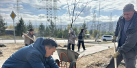 В Улан–Удэ жители 140б квартала и депутат горсовета активно занимаются озеленением - ИА Байкал Медиа Консалтинг
