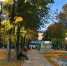 Уличное освещение в Калуге - Городская управа