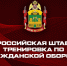 Кубанские росгвардейцы приняли участие во Всероссийской штабной тренировке по гражданской обороне - 24Krasnodar.Ru