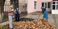 Дятьковский ЗАГС открыл сезон уборки листопада - Пламя Труда