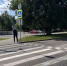 132 пешехода оштрафовали за сутки на белгородских дорогах - Сетевое издание Победа 31