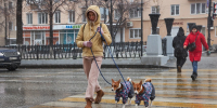 В Томской области ожидаются заморозки и мокрый снег с ураганным ветром - Комсомольская Правда