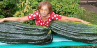 hmVzYcbvmg5Y9q1Ol4ZuyqbHy7trvMrxAx9cxN1oS6CVsk_oq9ALu-Ug4vFPCjXGawG1yS1n4IStotek8pSXwtiBXhyMdQ.jpg - Марийская правда
