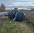 image_jpegcharsetutf-832.jpg - УМВД Смоленской области