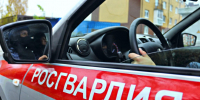 В Черняховске росгвардейцы задержали несовершеннолетних поджигателей - KaliningradNews.Ru