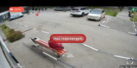В Энгельсе задержали живодера, сбросившего с 8 этажа котят - Провинциальный телеграфъ