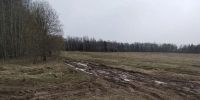 Владимир Макаров направил депутатский запрос по дороге к кладбищу в Дьякове - ЛДПР