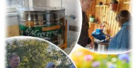 Корпоративное здоровье: Посещение пасеки социальными работниками. - Центр соцобслуживания