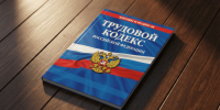 Стажировки в России станут официально оплачиваемыми - ИА Грозный-информ