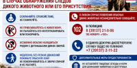 медведь и человек. - Каратузский район