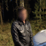 -e2-t3EIr8wiG6UiZkEfJAa473RvxIf9QqrVk6xfFUAcXr4BOWMBDy6Bc5ybRCmNizcHvou9BjnD751yryWPYsC8 - УМВД Ивановской области