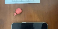 Полицейские задержали двух закладчиц в Энгельсе - Провинциальный телеграфъ
